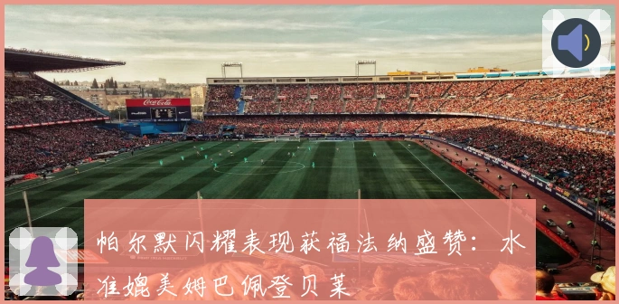 帕尔默闪耀表现获福法纳盛赞:水准媲美姆巴佩登贝莱